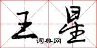 曾庆福王星行书怎么写