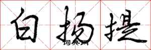 曾庆福白扬提行书怎么写