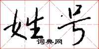 钱沛云姓号行书怎么写