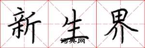 荆霄鹏新生界楷书怎么写