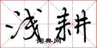 曾庆福浅耕行书怎么写