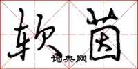 曾庆福软茵行书怎么写
