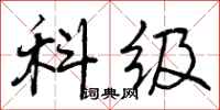 曾庆福科级行书怎么写