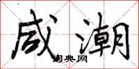 曾庆福咸潮行书怎么写