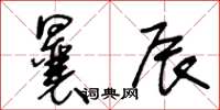王冬龄曩辰草书怎么写