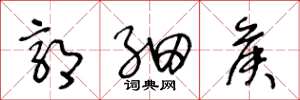 王冬龄郭细侯草书怎么写