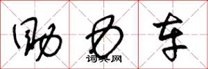 王冬龄助力车草书怎么写