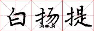 周炳元白扬提楷书怎么写