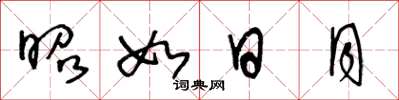 王冬龄昭如日月草书怎么写