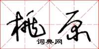 王冬龄桃原草书怎么写