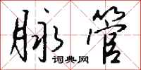 钱沛云脉管行书怎么写