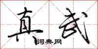 荆霄鹏真武行书怎么写