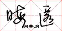 王冬龄晦匿草书怎么写