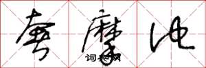 王冬龄奢摩他草书怎么写