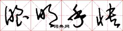 刘少英眼明手快草书怎么写
