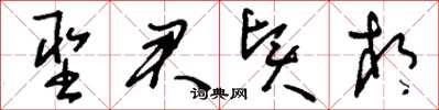 刘少英圣君贤相草书怎么写