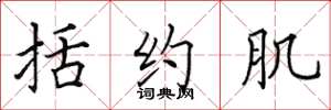 田英章括约肌楷书怎么写