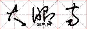 刘少英大昭寺草书怎么写