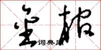 刘少英金棺草书怎么写