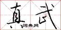 钱沛云真武行书怎么写