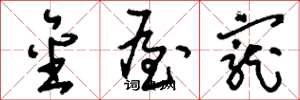 刘少英金屋宠草书怎么写