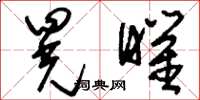 刘少英晃曜草书怎么写