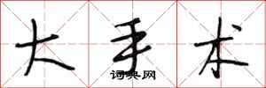 段相林大手术行书怎么写