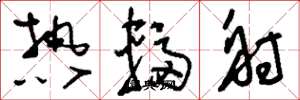 刘少英热辐射草书怎么写