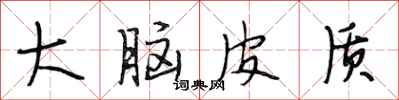 段相林大脑皮质行书怎么写