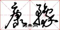 刘少英康豫草书怎么写
