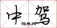 段相林中驾行书怎么写