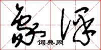 刘少英象译草书怎么写