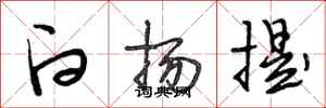 段相林白扬提行书怎么写