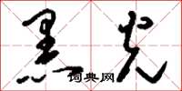 刘少英黑光草书怎么写