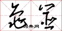刘少英龟筮草书怎么写