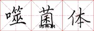 田英章噬菌体楷书怎么写