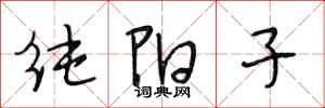 段相林纯阳子行书怎么写