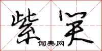 段相林紫笑行书怎么写