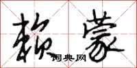 段相林赖蒙行书怎么写