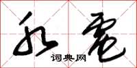朱锡荣水电草书怎么写
