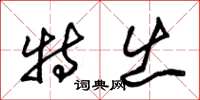 朱锡荣特出草书怎么写