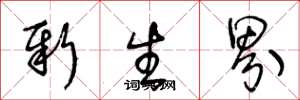 王冬龄新生界草书怎么写