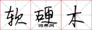 段相林软硬木行书怎么写