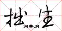 段相林拙生行书怎么写
