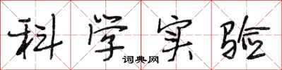 段相林科学实验行书怎么写