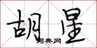 段相林胡星行书怎么写