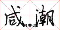 段相林咸潮行书怎么写
