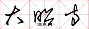 朱锡荣大昭寺草书怎么写