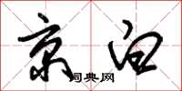 朱锡荣京白草书怎么写