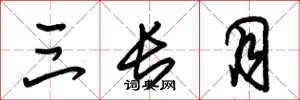 朱锡荣三长月草书怎么写